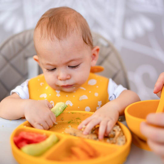 Baby Led Weaning versus Purés: ¿Cuál es Mejor?