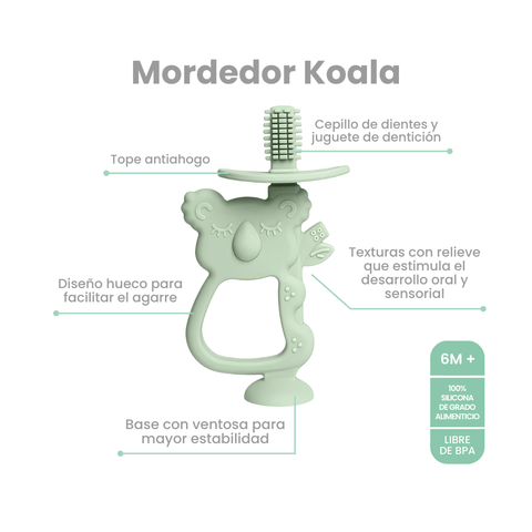 Mordedor en Forma de Cepillo